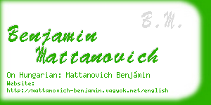 benjamin mattanovich business card